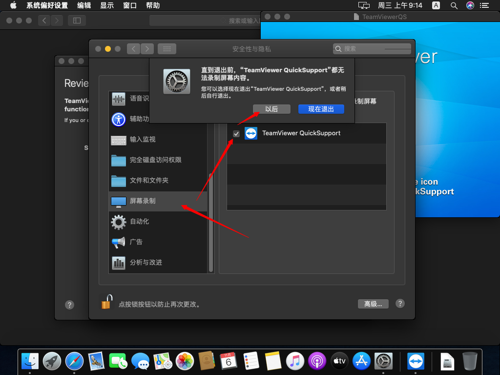 Catalina使用TeamViewerQS的设置步骤插图9