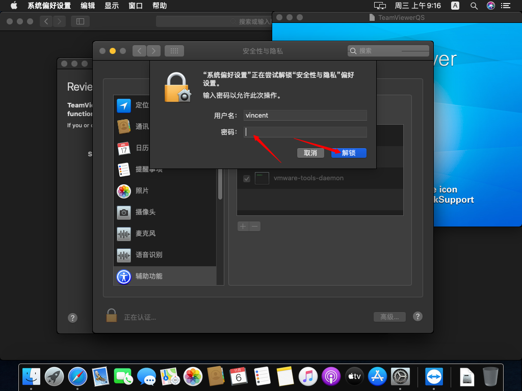 Catalina使用TeamViewerQS的设置步骤插图13