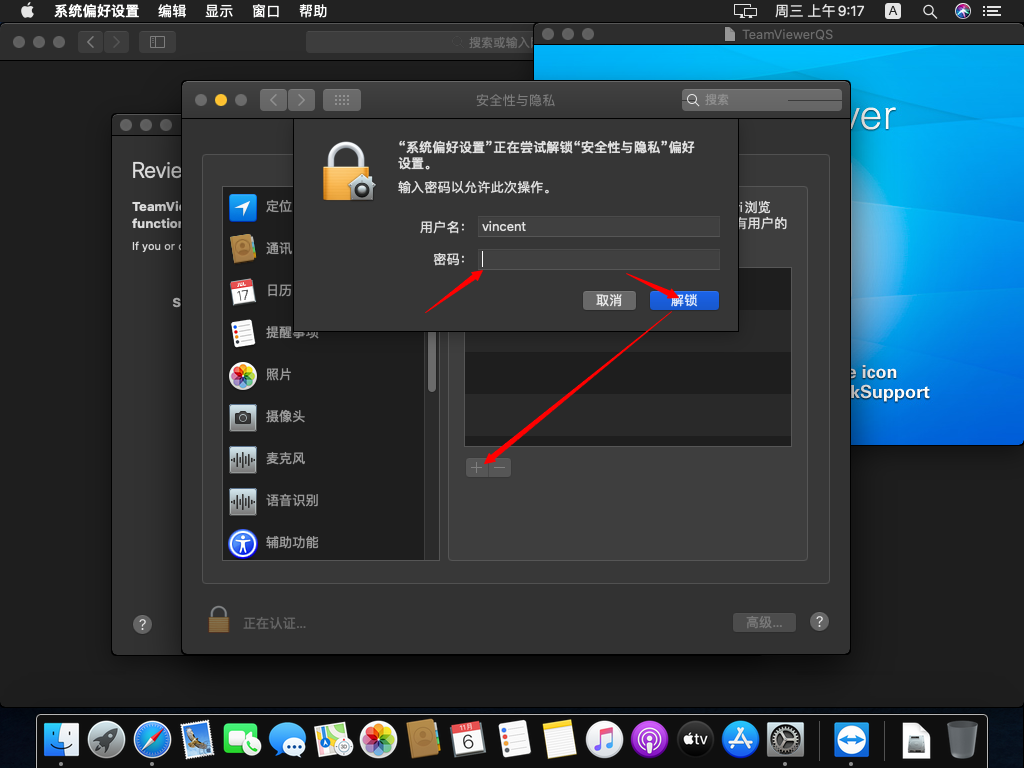 Catalina使用TeamViewerQS的设置步骤插图17