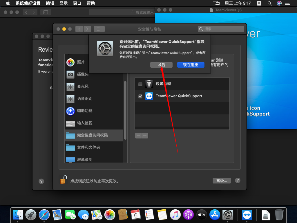 Catalina使用TeamViewerQS的设置步骤插图19