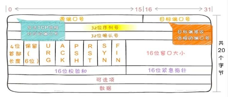 图解TCP、UDP，流量控制，拥塞控制，一次看懂